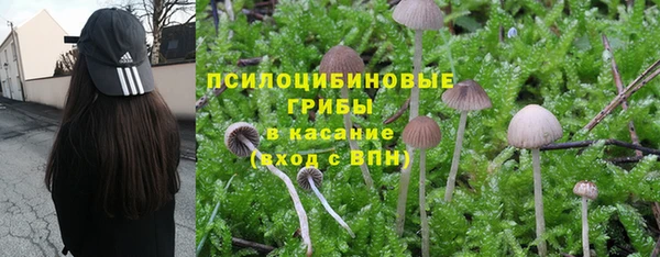 а пвп мука Горняк