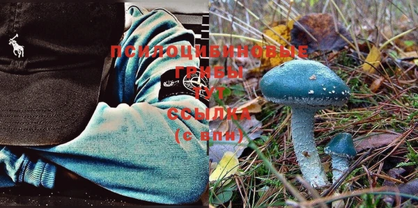 а пвп мука Горняк