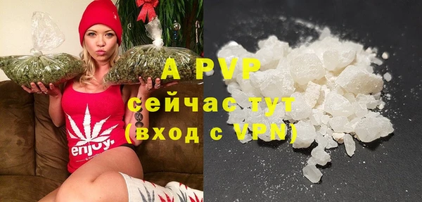 мдпв Горнозаводск
