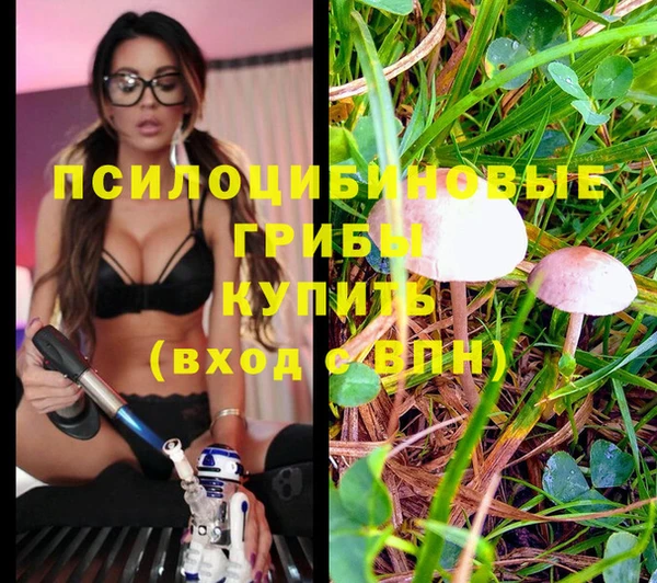 мдпв Горнозаводск