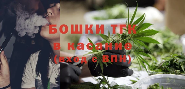 мдпв Горнозаводск