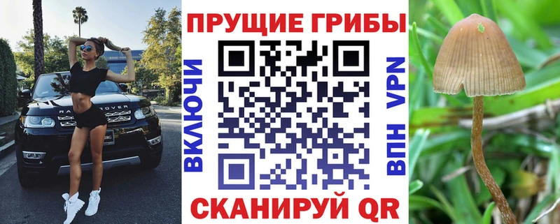 Купить закладки Кремёнки Псилоцибиновые грибы MAGIC MUSHROOMS